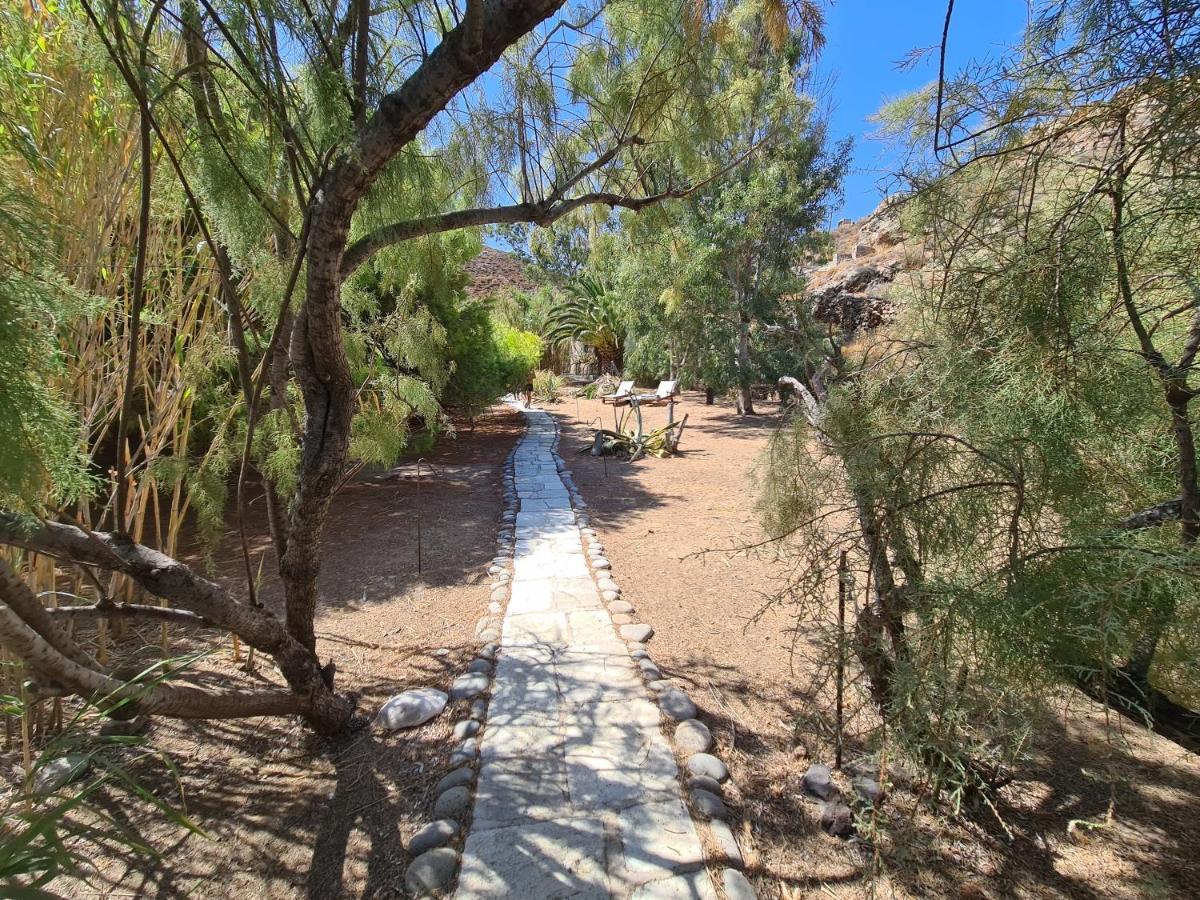 Nature Eco Living Serifos Livadi  المظهر الخارجي الصورة
