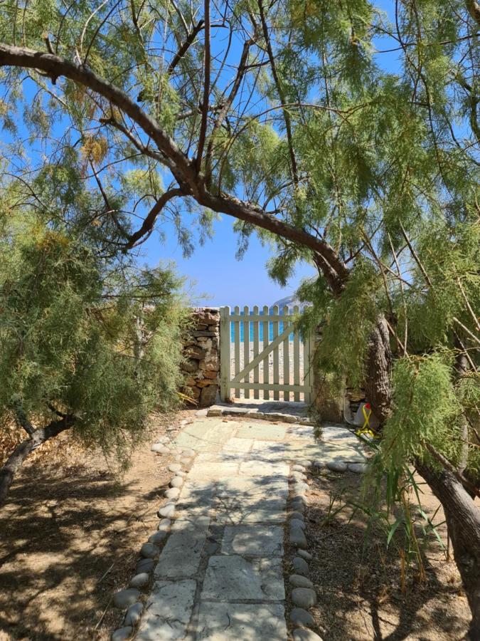 Nature Eco Living Serifos Livadi  المظهر الخارجي الصورة