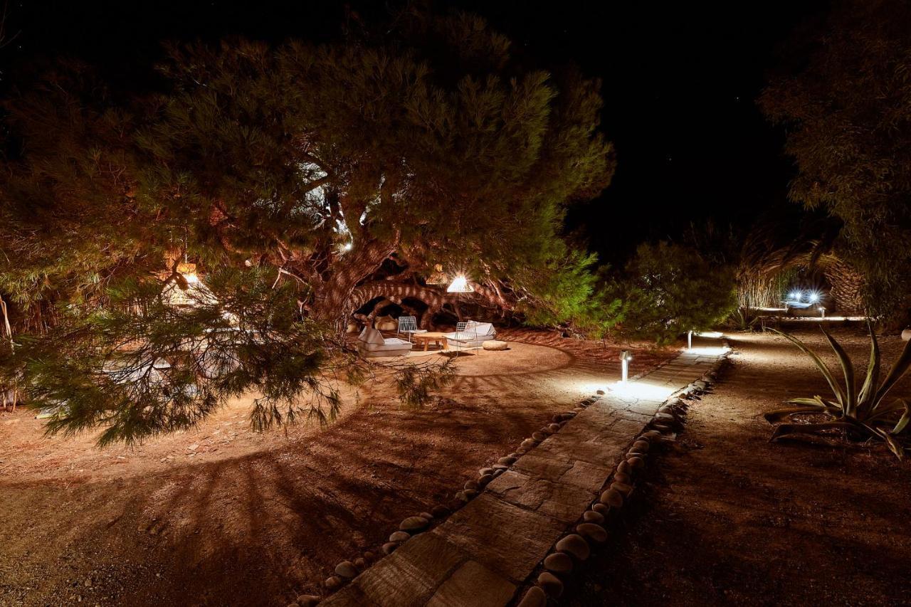Nature Eco Living Serifos Livadi  المظهر الخارجي الصورة